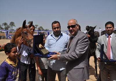 مهرجان البحيرة للخيول العربية